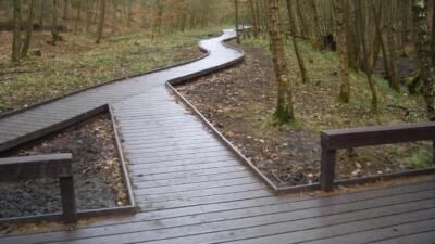 A winding boardwalk made of recycled plastic decking through a forest, with railings and wet surfaces reflecting light.