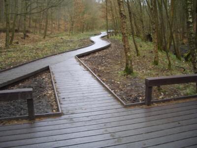 A winding boardwalk made of recycled plastic decking through a forest, with railings and wet surfaces reflecting light.
