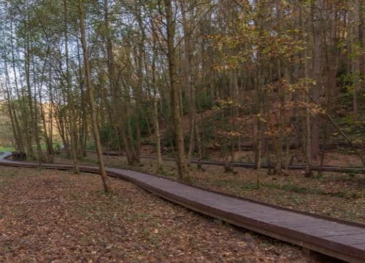 artificial lumber decking from British recycled Plastic in a wood