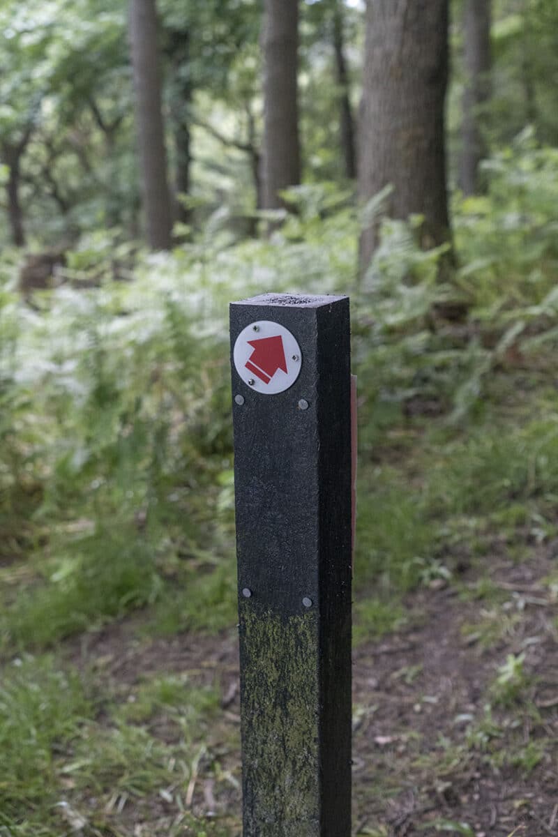 A waymarker post made from British Recycled Plastic at a National Trust property