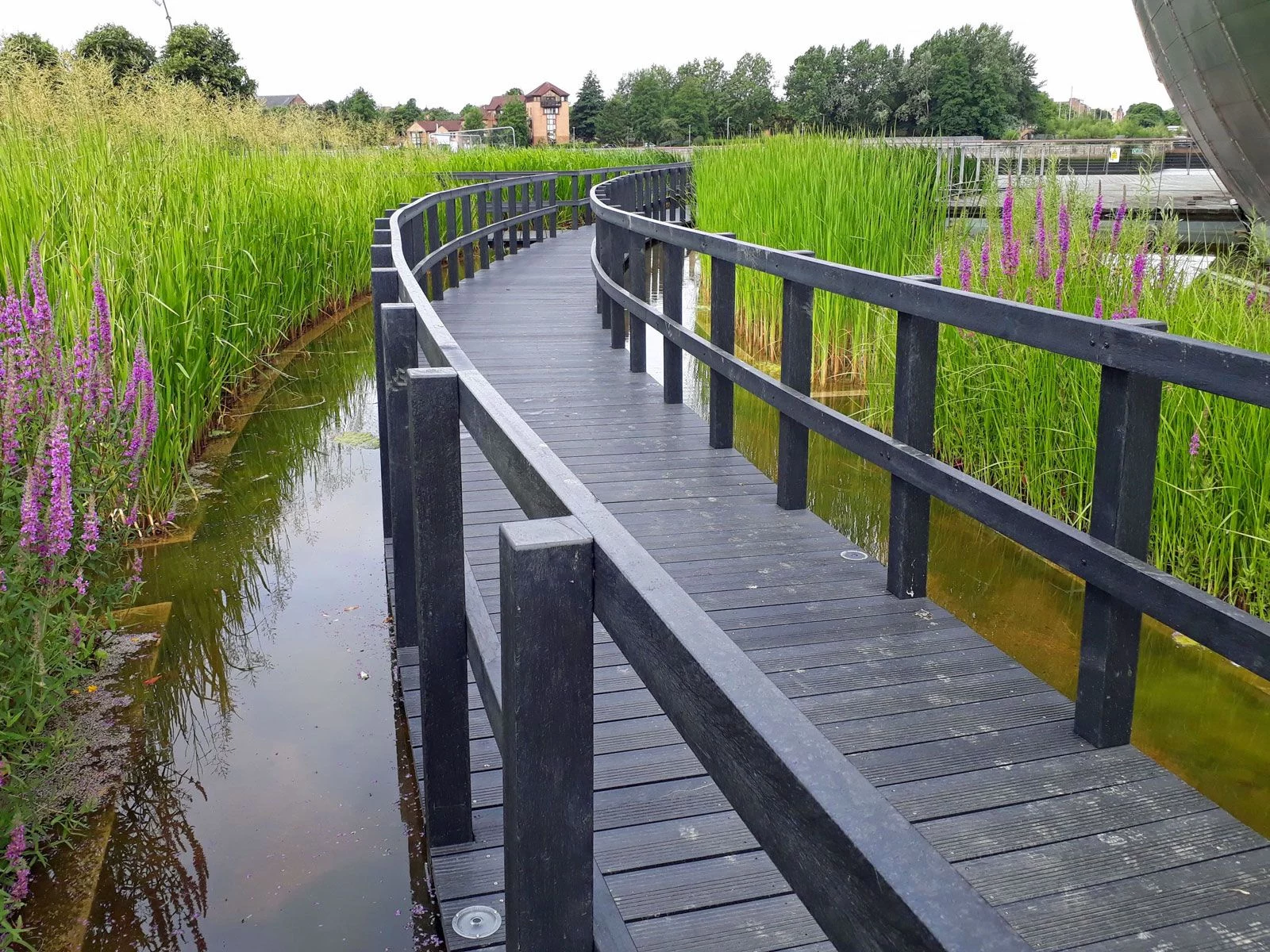 A recycled plastic boardwalk installed at the Glasgo Science Centre. The posts are 100x100, the rails are 100x50, the surface is 150x40 decking and they are supported on 120x50 joists and bearers.