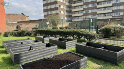 raised beds in housing estate