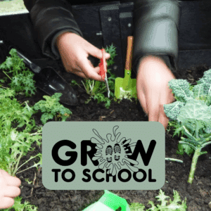 Grow to School resources