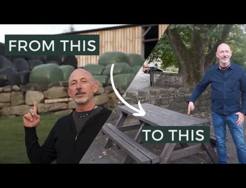 The Secret Life of Picnic Benches