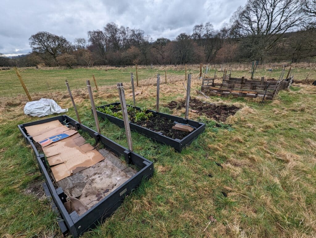 PXL 20240303 114630218