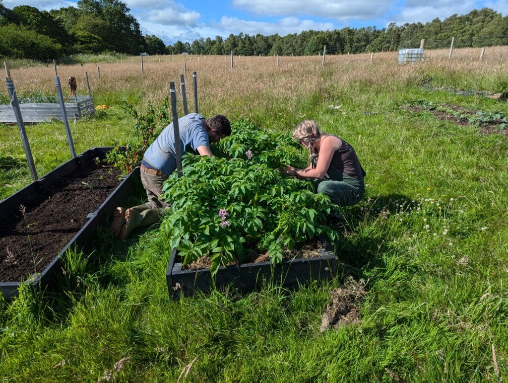 PXL 20240629 164026622