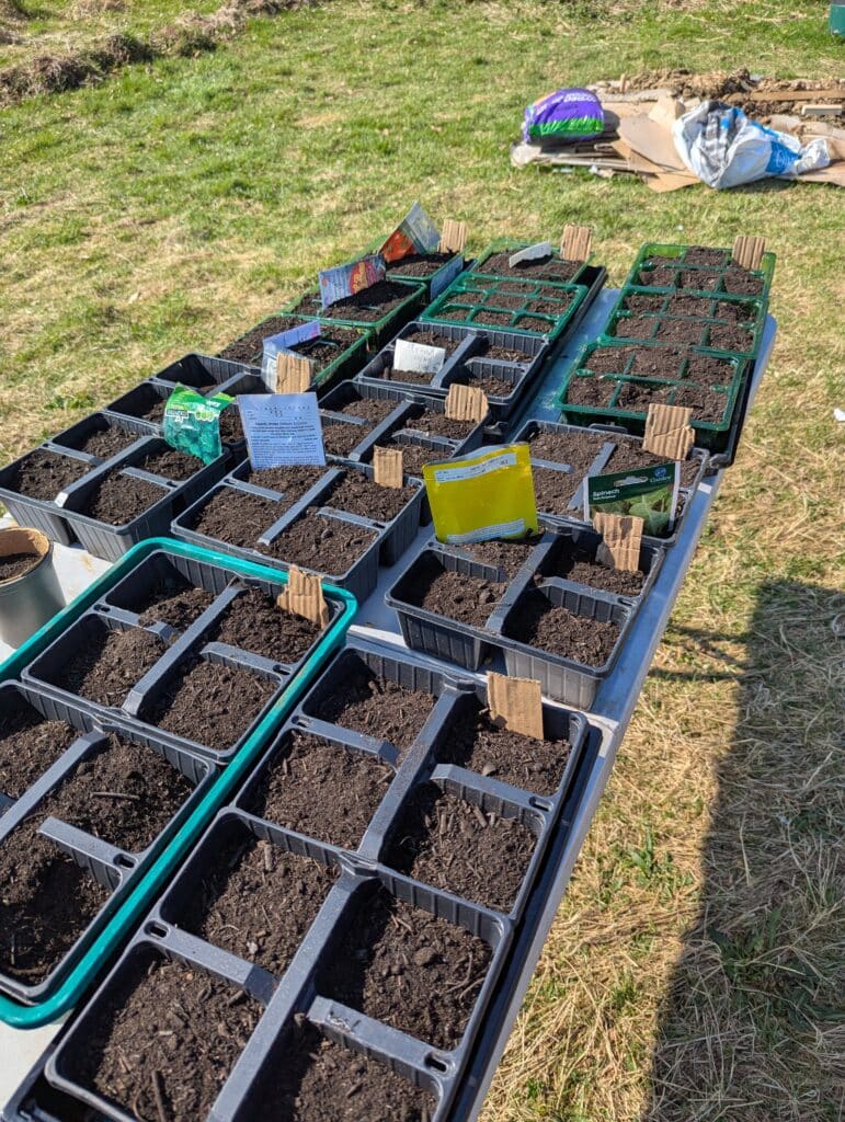 PXL 20250403 112516848