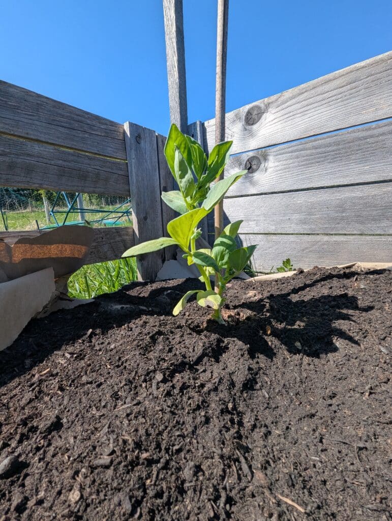 PXL 20250513 145400101