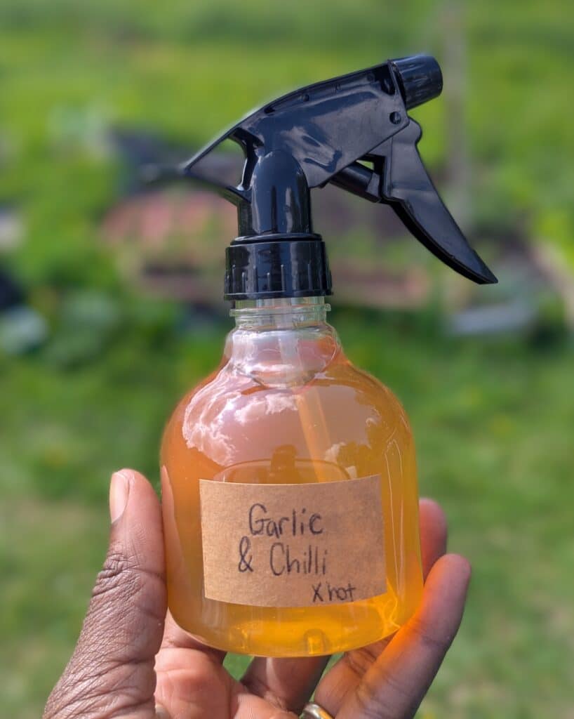 PXL 20250610 093248587.PORTRAIT2