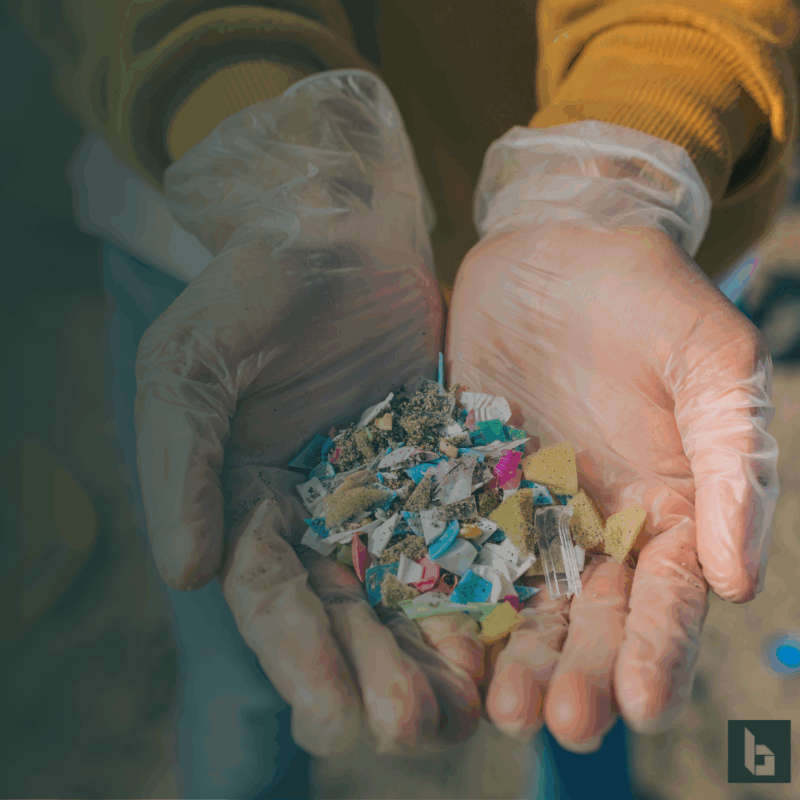hand open showing microplastics from the ocean 