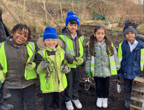 Schools – Win a Recycled Plastic Raised Bed + a Growbag Mini Toolkit