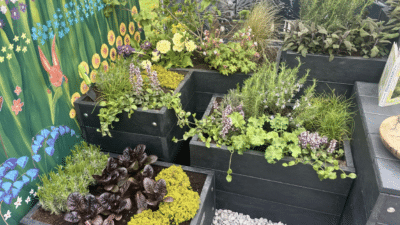 British Recycled Planter at Harrogate Flower Show