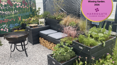 Harrogate flower show gold winning planter
