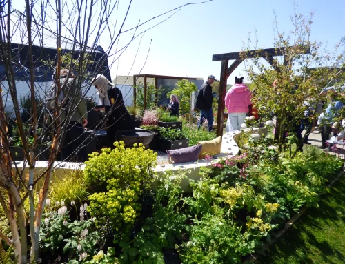 Common Ground Takes Gold: Celebrating A Harrogate Flower Show Win