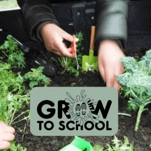 grow to school