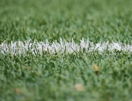The Plastic Problem We Don’t Talk About: Artificial Grass & Microplastics