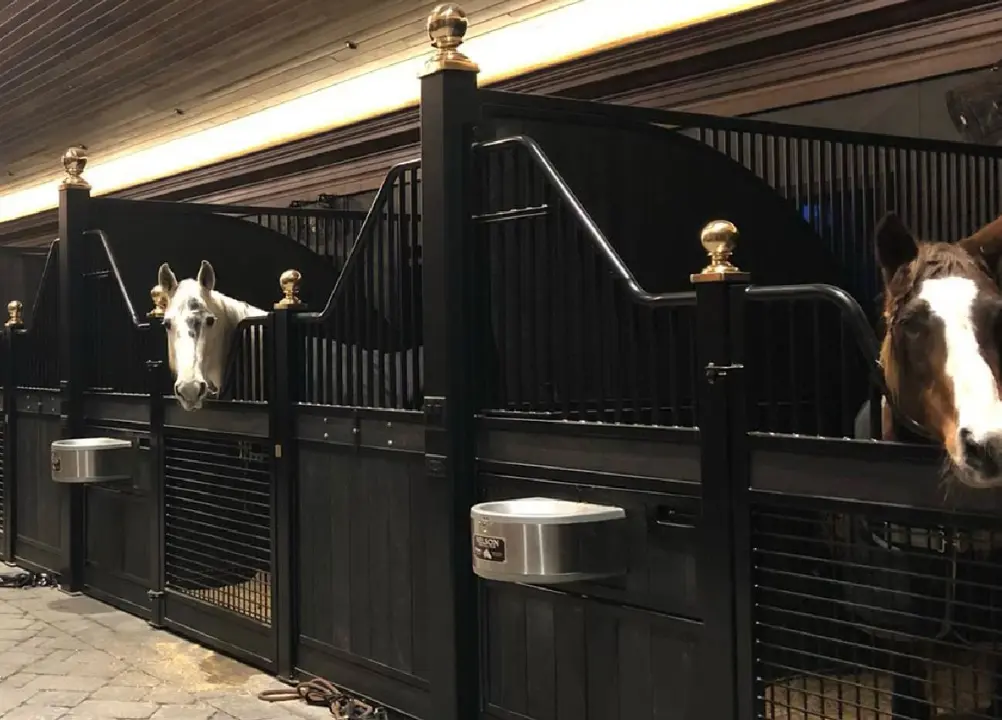 stable tongue and groove
