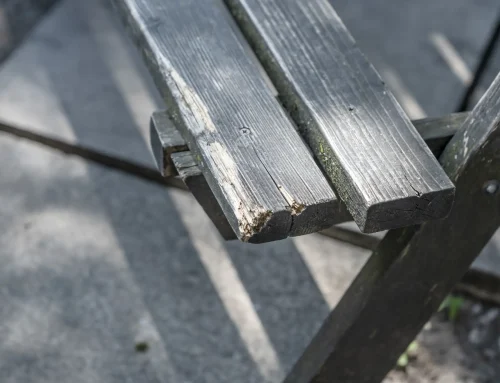 How to Stop a Wooden Bench from Rotting (And When to Stop Trying)